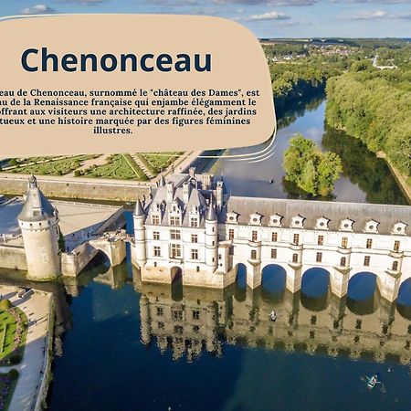 Azalee - Azay Sur Cher Экстерьер фото